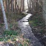 Tjaffers * Durbuy